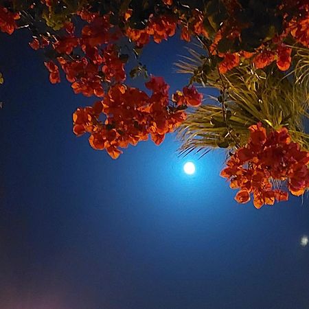 Apartamento Neptuno Benagil Dış mekan fotoğraf