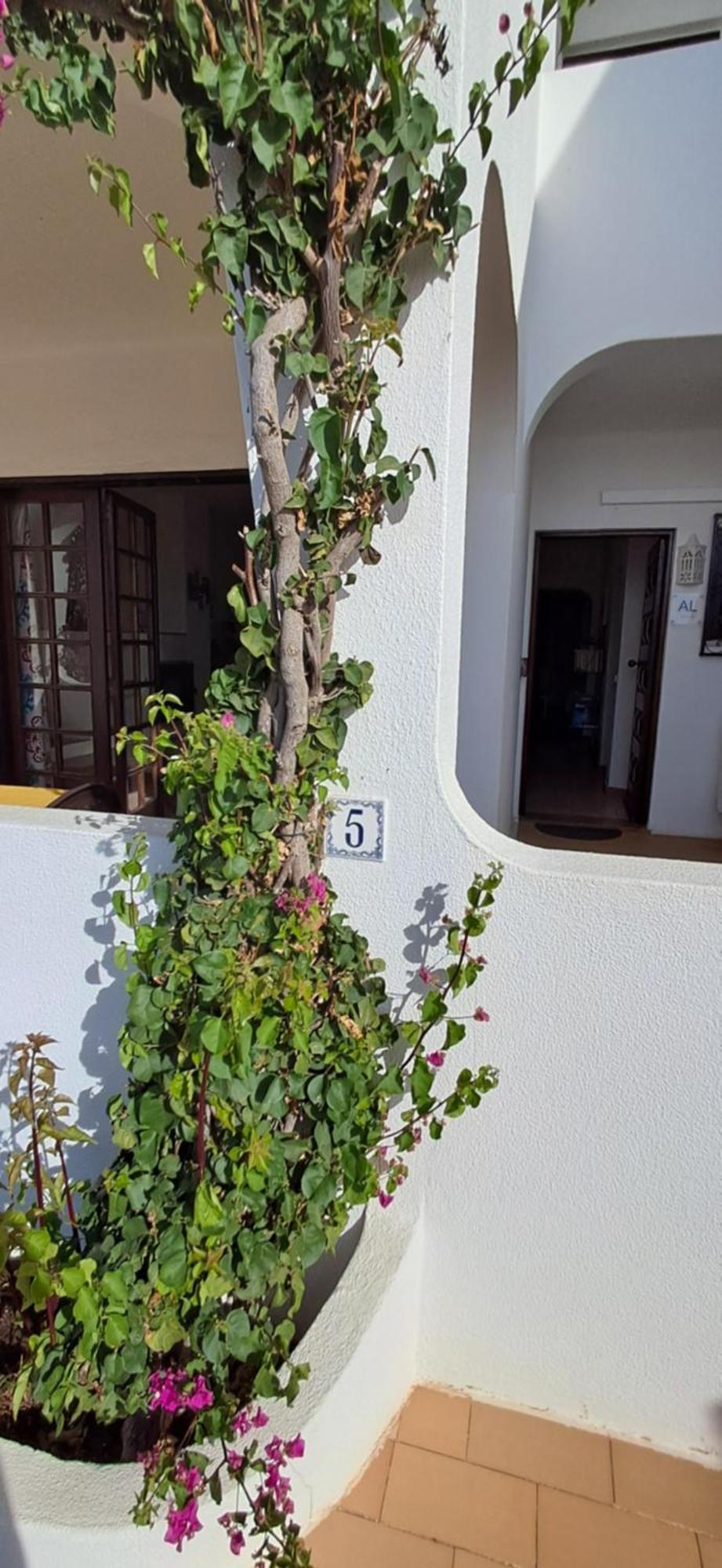 Apartamento Neptuno Benagil Dış mekan fotoğraf